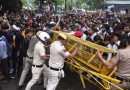 ৪০ হাজার বাহিনী নামিয়েও আটকানো গেল না ককরোচের, চাপে মোদি সরকার ৪০ হাজার বাহিনী নামিয়েও আটকানো গেল না ককরোচের, চাপে মোদি সরকার