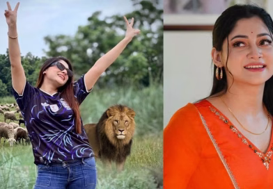 ‘সিংহ একা চলে, দল বেঁধে চলে ভেড়া’ কেন বললেন পূজা চেরি ‘সিংহ একা চলে, দল বেঁধে চলে ভেড়া’ কেন বললেন পূজা চেরি