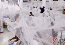 ডেঙ্গুতে এক দিনে ৪ মৃত্যু, হাসপাতালে ভর্তি ১৫১২